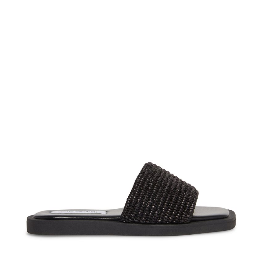 Black Steve Madden Leigh Women's Slides | PH 5246UCM